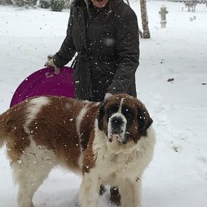 Meet your Posher, Angie